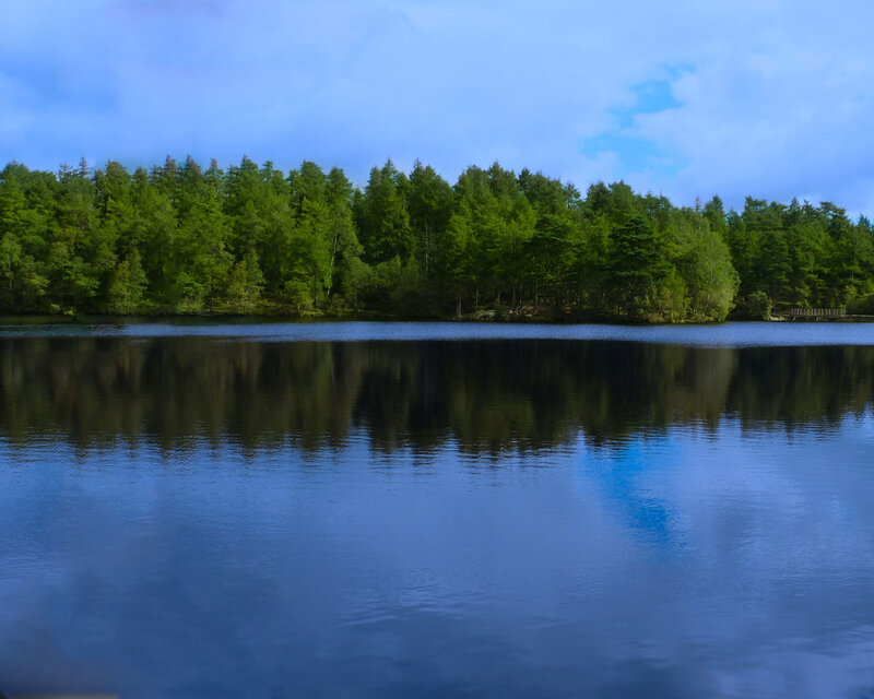 Forest lake with clear reflection