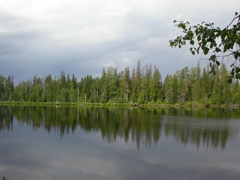 forest lake with cloudy sky
