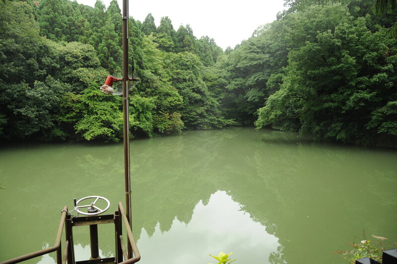 Forest lake with control station