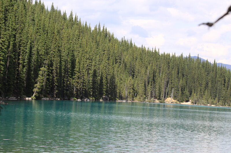 Forest Lake with Evergreens