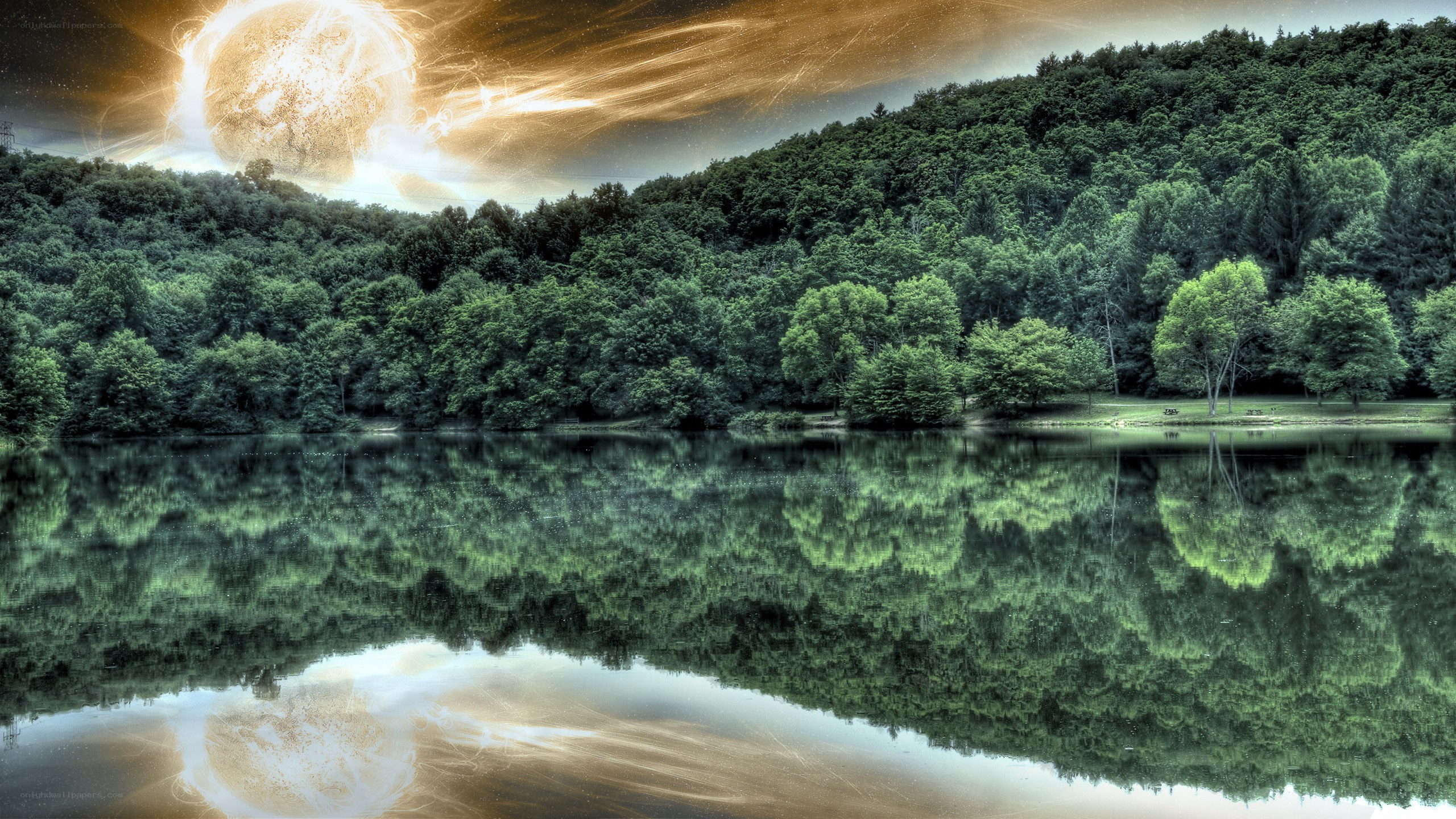 Forest lake with glowing sun