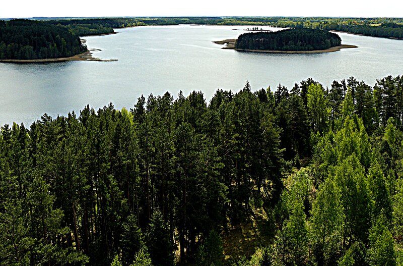 Forest Lake with Island