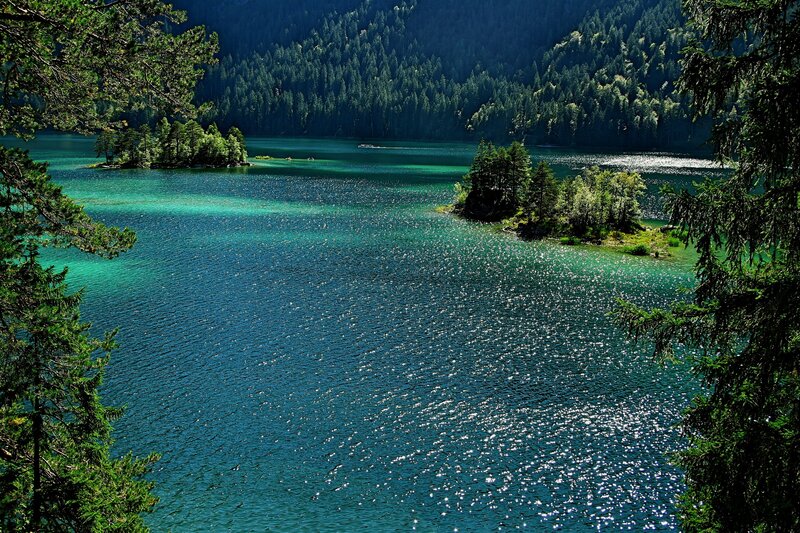 Forest lake with islands