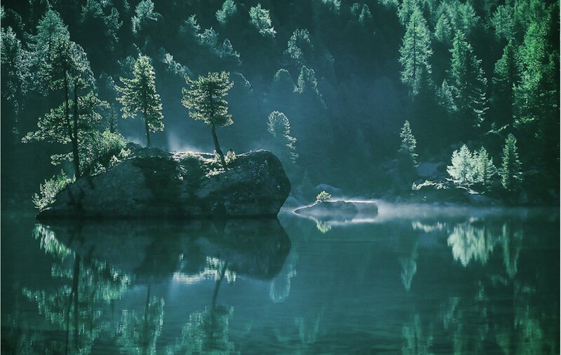 Forest Lake with Mist