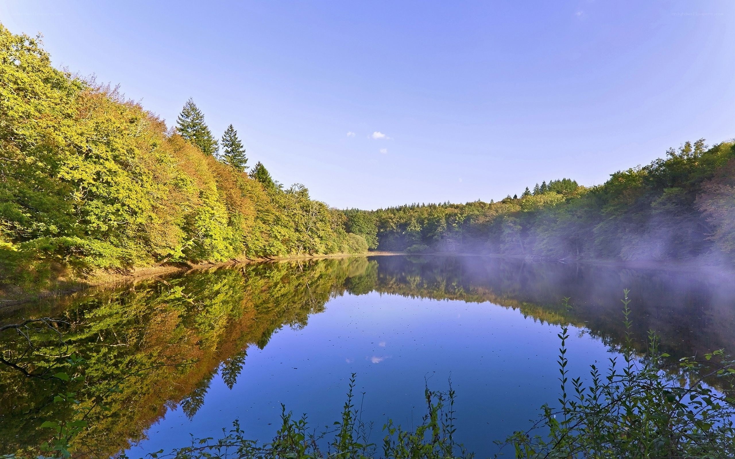 Forest lake with morning mist