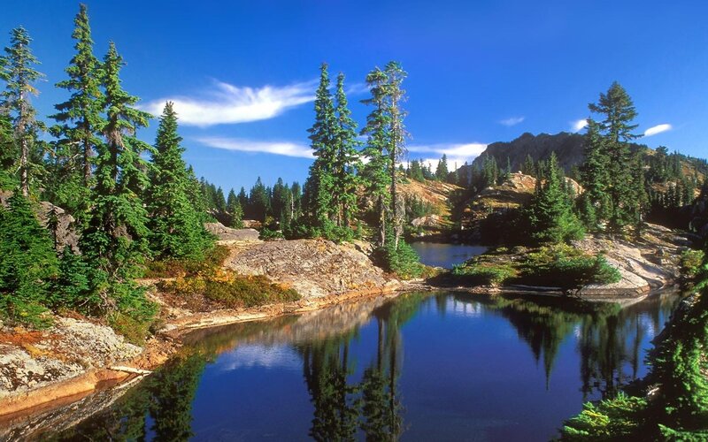 Forest lake with mountain backdrop