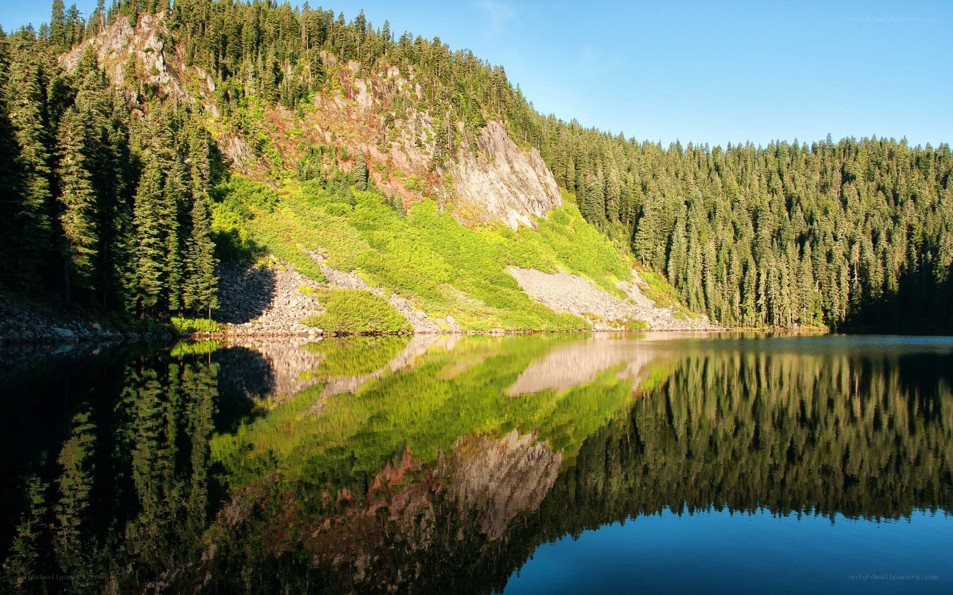 Forest lake with mountain reflection