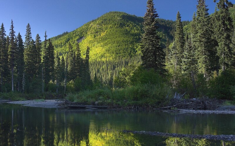 Forest lake with mountain reflection