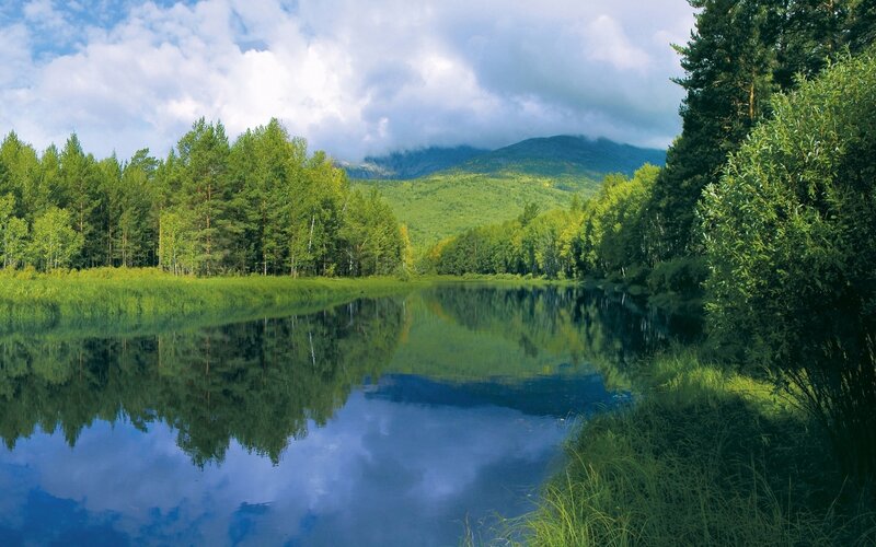 Forest lake with mountain reflection