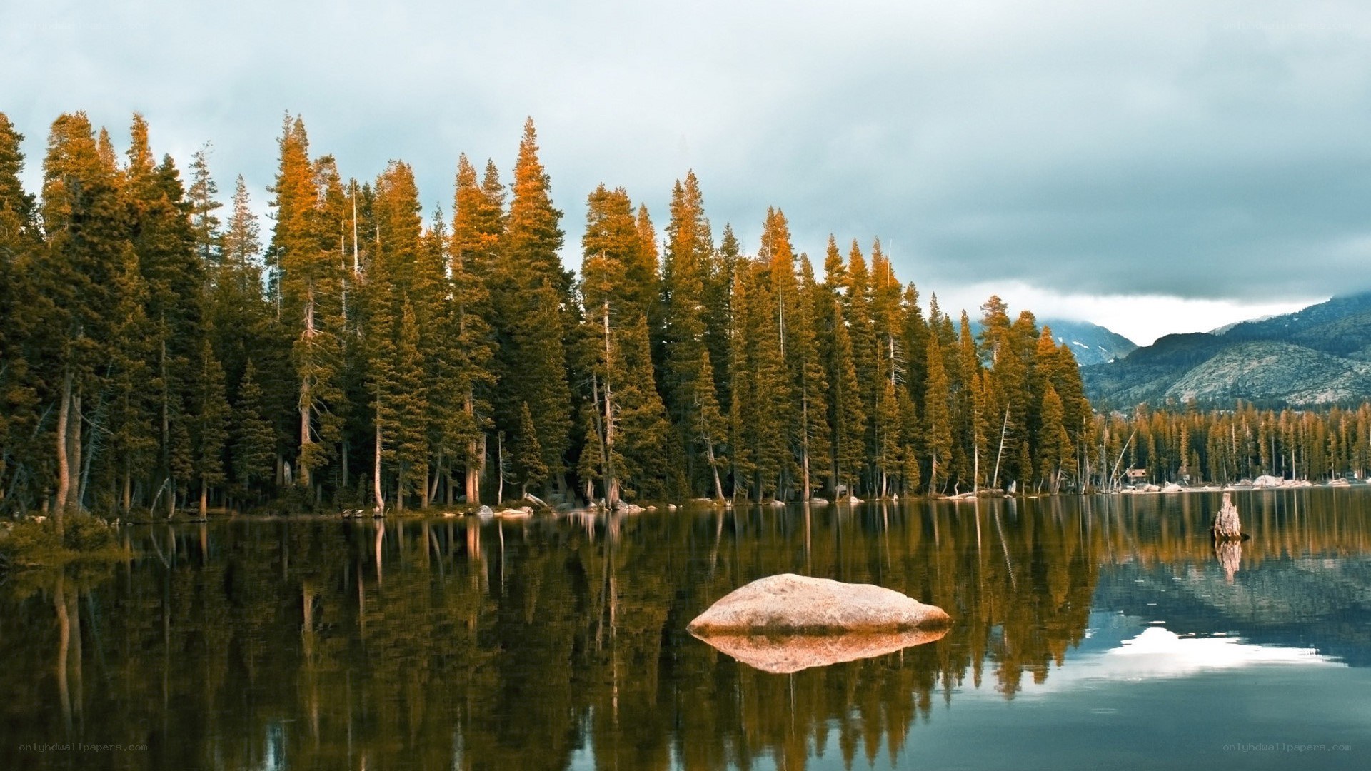 Forest lake with mountain reflection