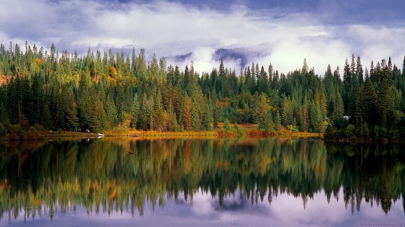 Forest lake with mountain reflection