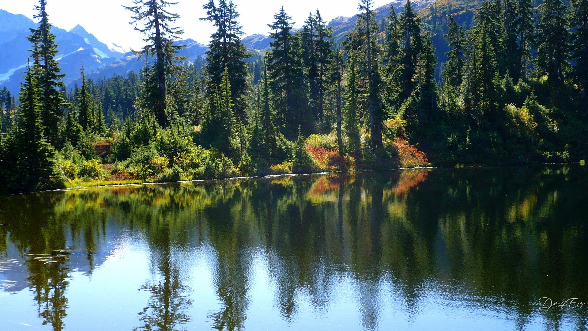 Forest lake with mountain reflection
