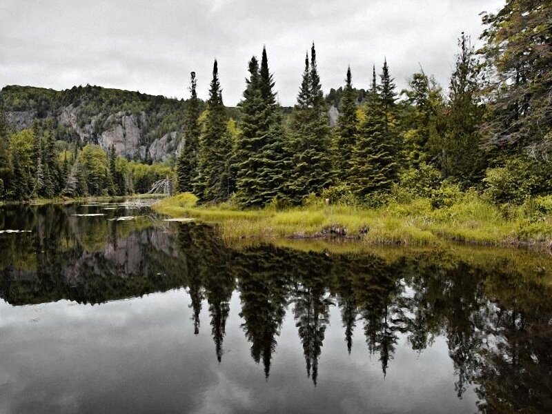 Forest lake with mountain reflection