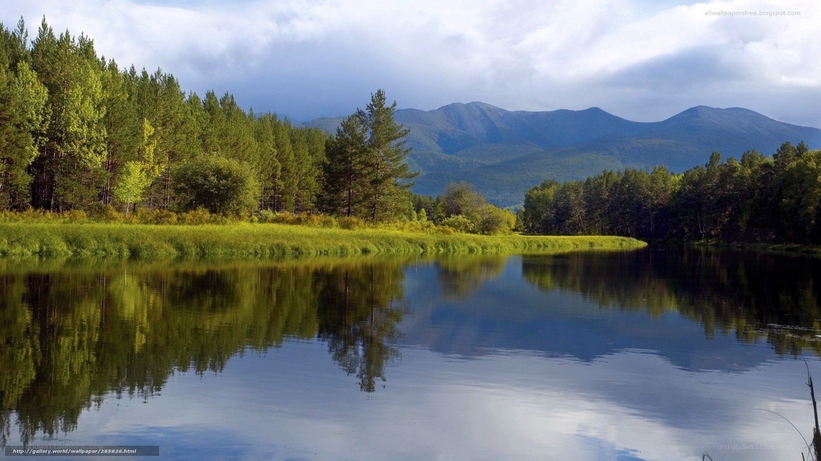 Forest lake with mountain reflection