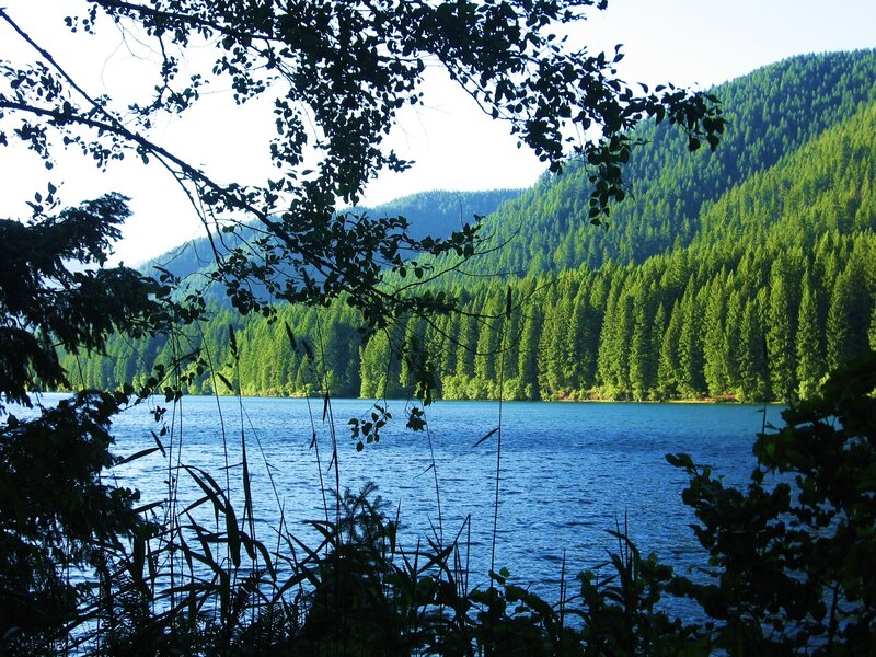 Forest lake with mountain view