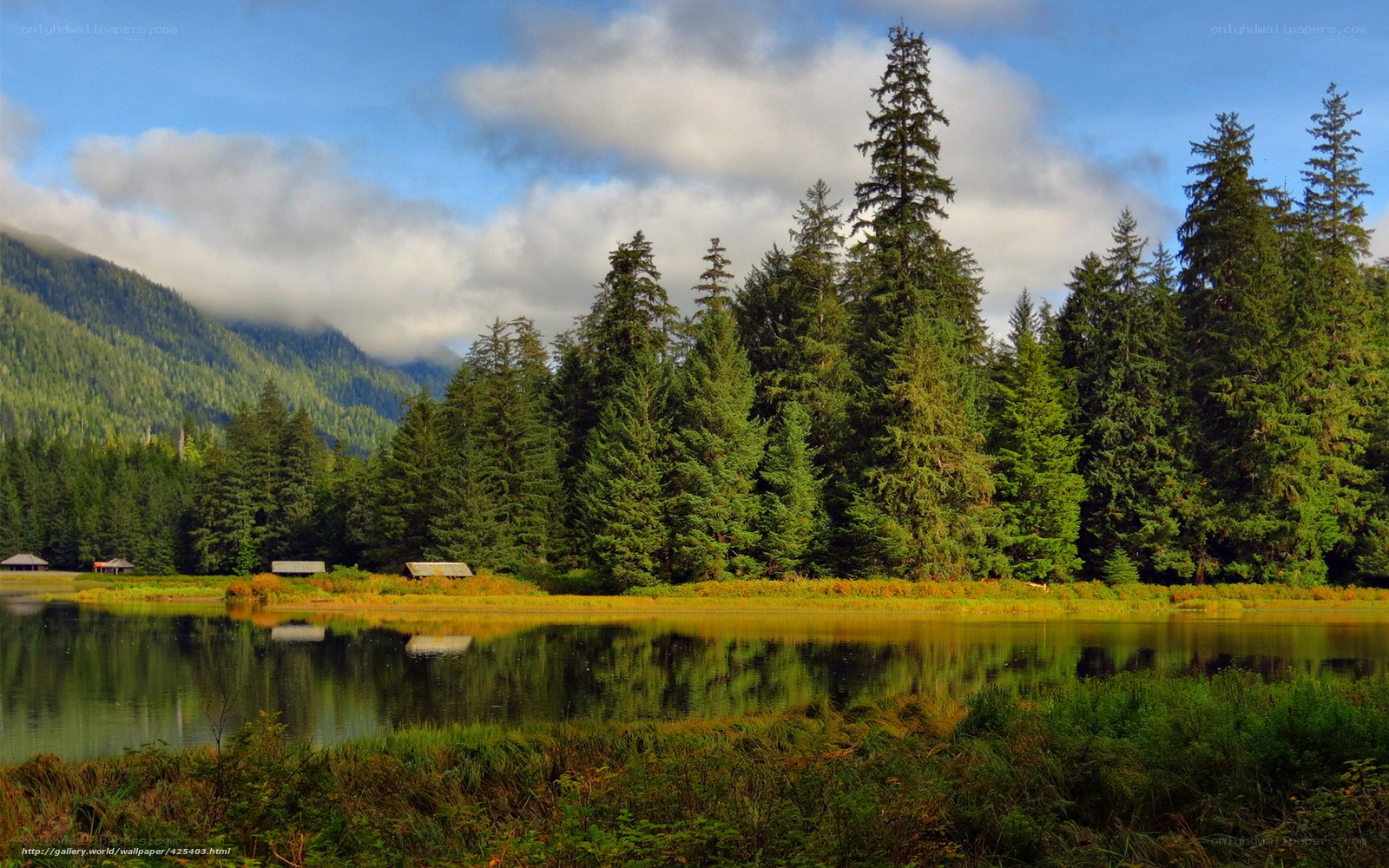 Forest lake with mountain view