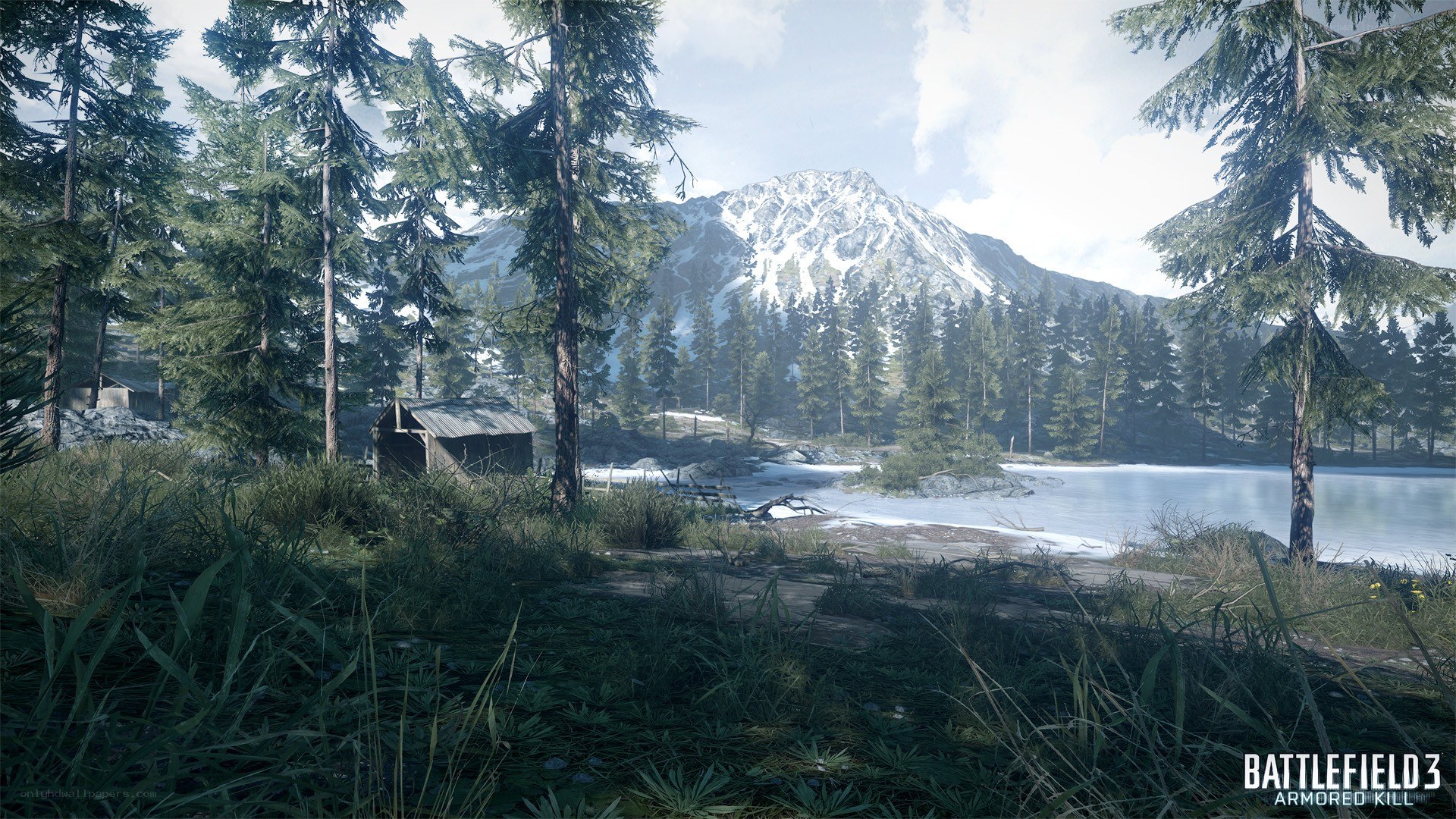 Forest lake with mountain view
