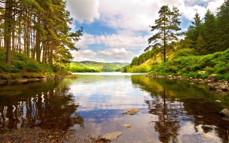 Forest lake with mountain view