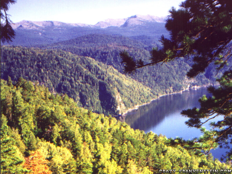 Forest lake with mountains