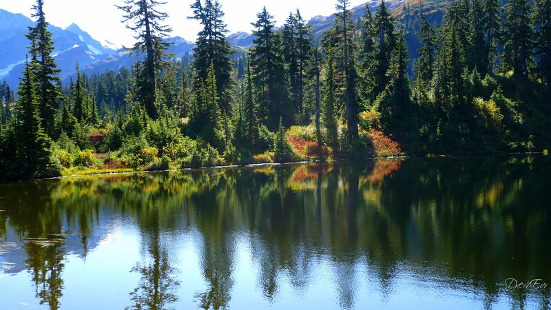 Forest Lake with Mountains — Green, Serene, Afternoon, Photograph, Trees, Reflection