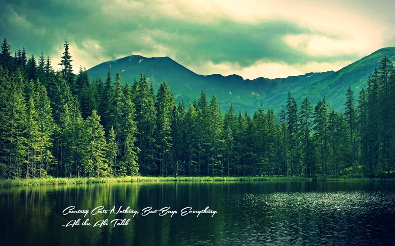 Forest Lake with Mountains — Green, Serene, Afternoon, Photograph, Trees