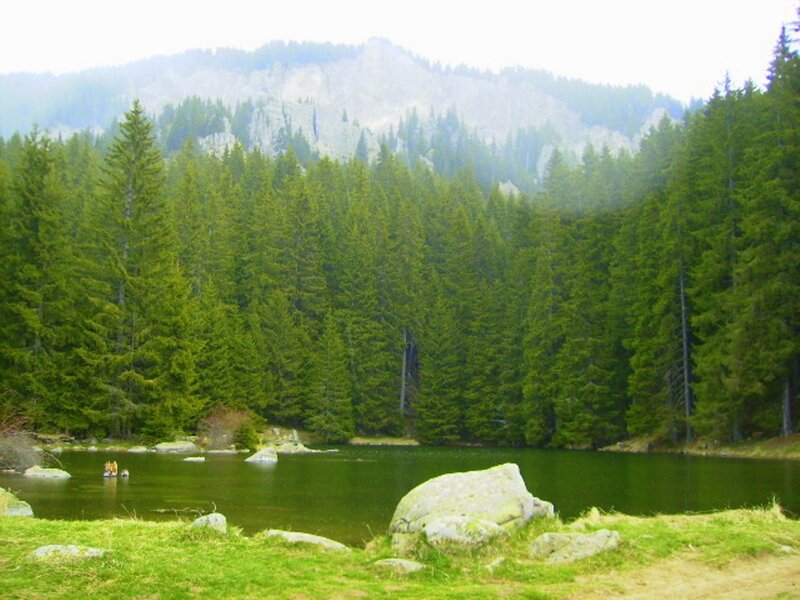 Forest Lake with Mountains — Green, Serene