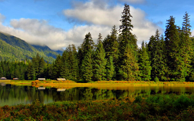 Forest Lake with Mountains — Green