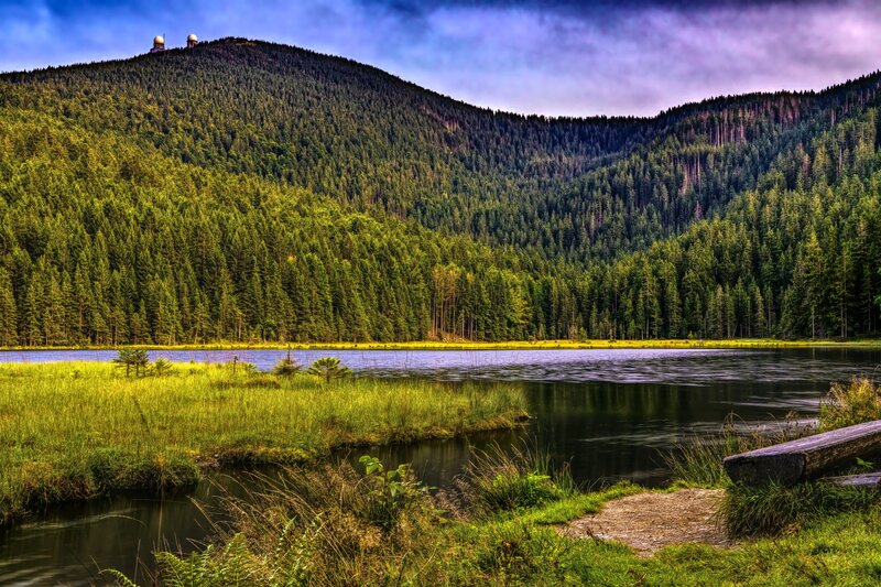 Forest lake with observatory