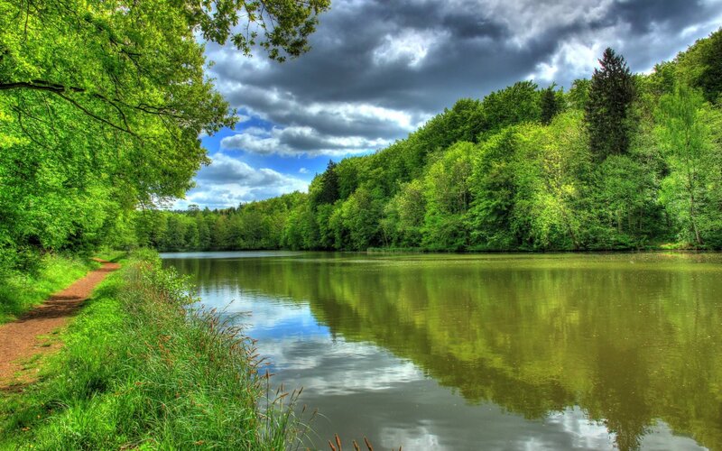 Forest Lake with Path — Green, Serene