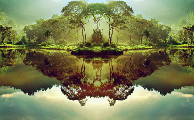 Forest lake with perfect reflection