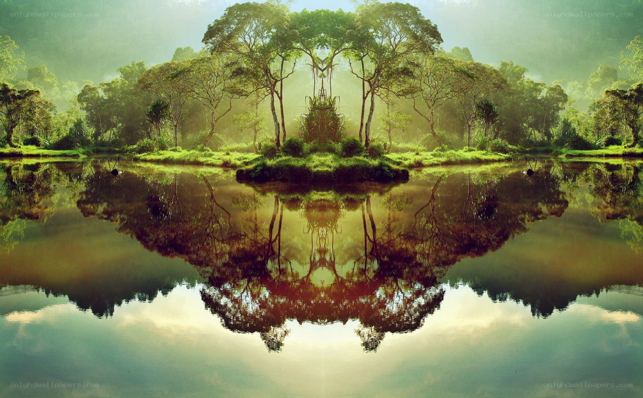 Forest lake with perfect reflection