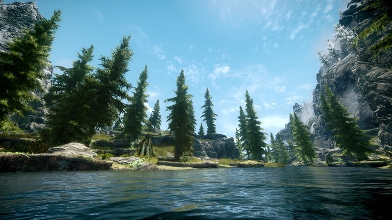 forest lake with pine trees