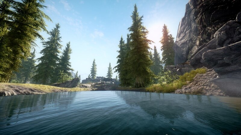 Forest lake with pine trees