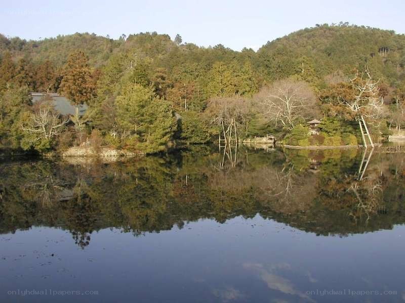 Forest lake with reflection