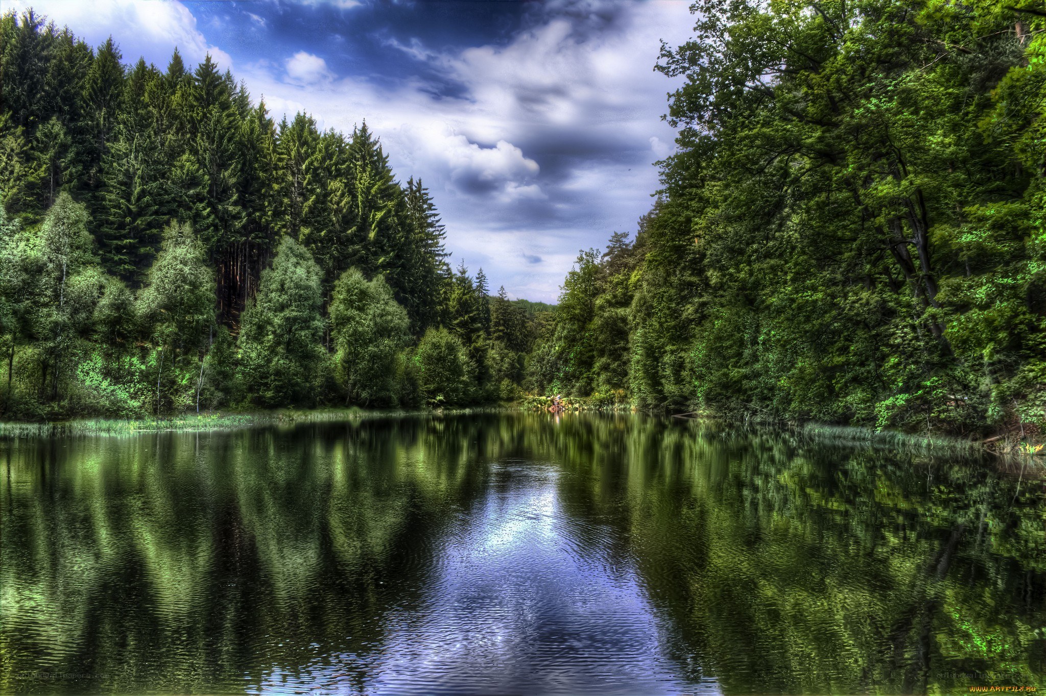 Forest lake with reflection