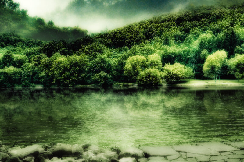 Forest Lake with Reflection — Green, Serene