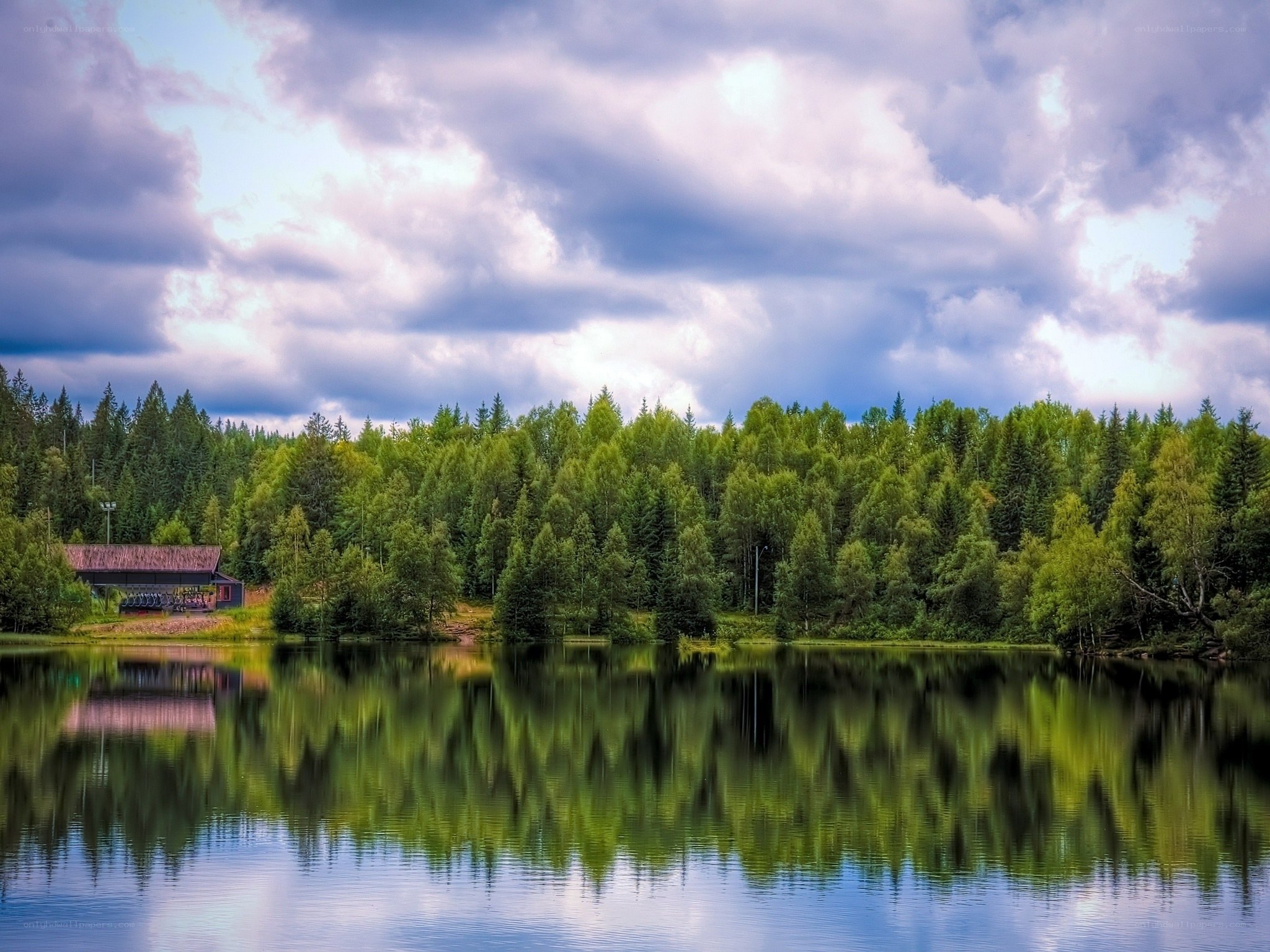 Forest lake with reflection