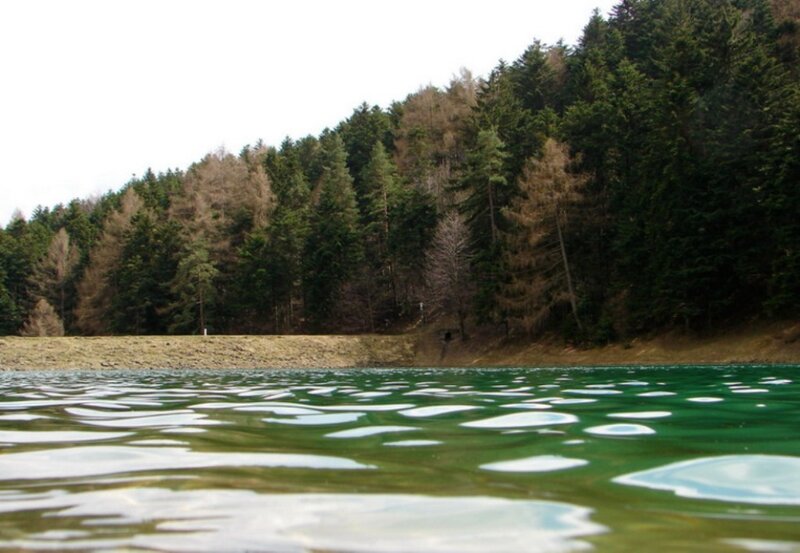 Forest lake with rippling water