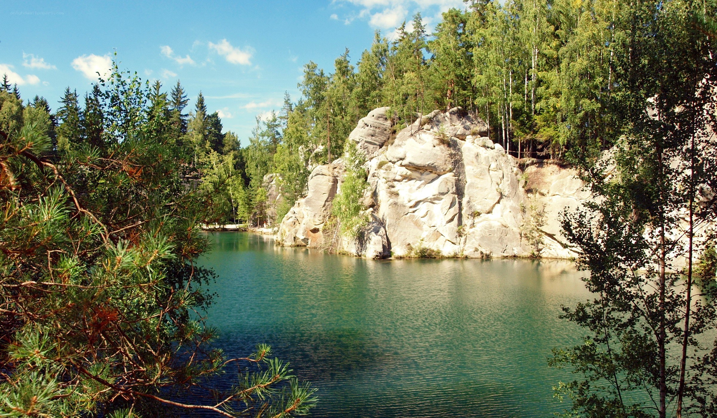 Forest lake with rocky cliffs