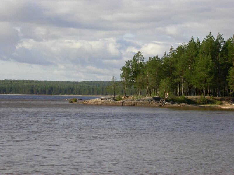Forest lake with rocky shore