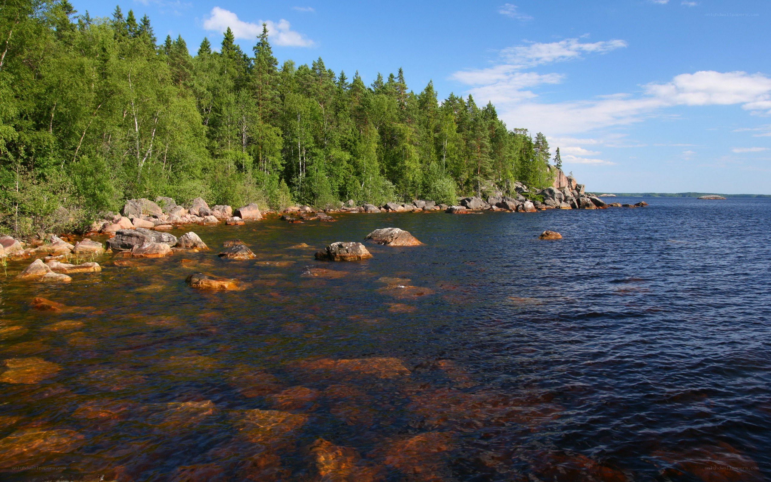Forest lake with rocky shore