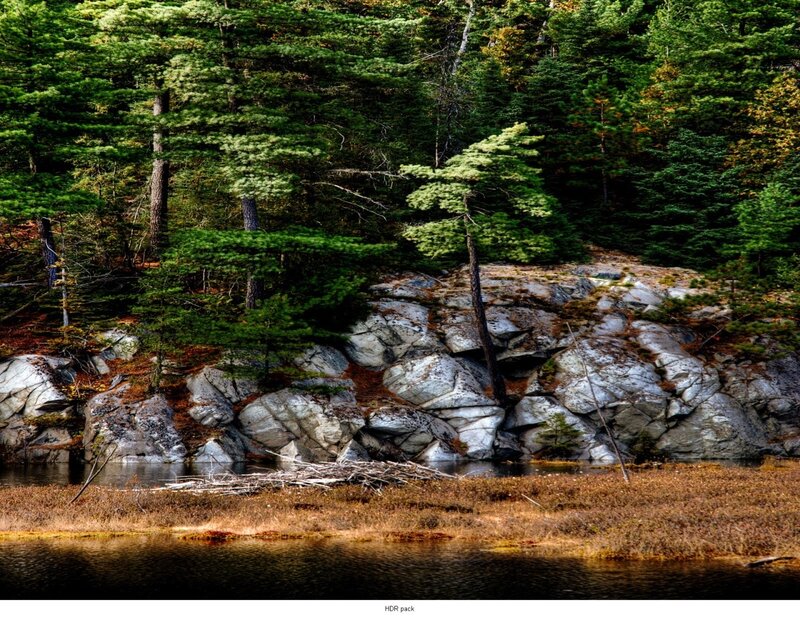 Forest lake with rocky shore