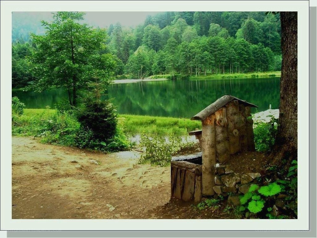 Forest lake with rustic well