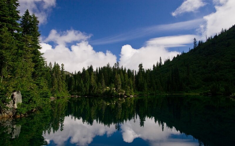Forest lake with sky reflection
