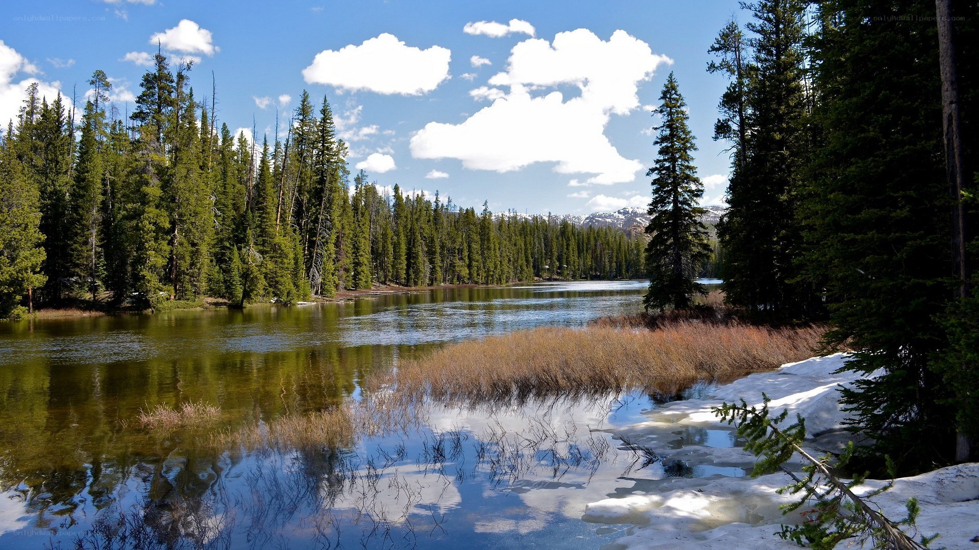 Forest lake with snow and clouds