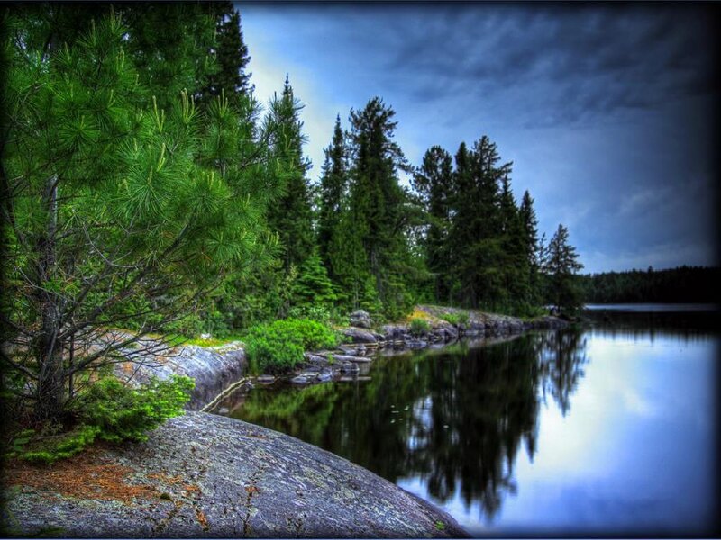 Forest lake with stormy sky