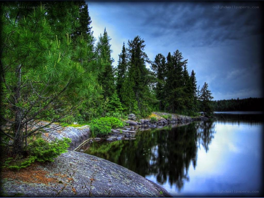 Forest lake with stormy sky