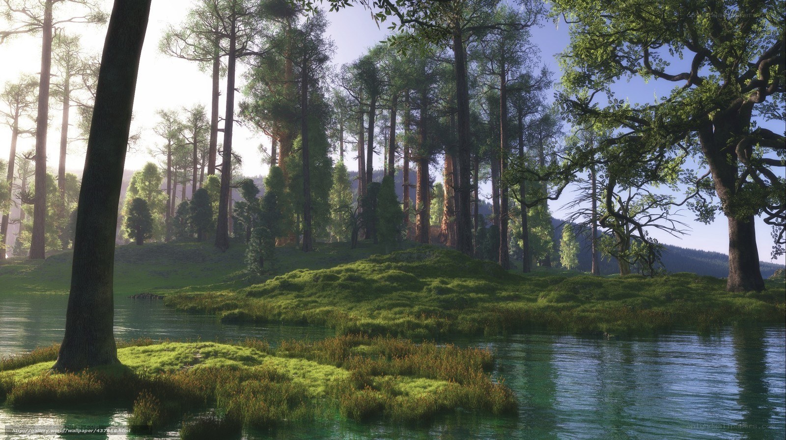 Forest lake with tall trees
