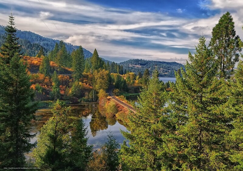 Forest lake with train tracks