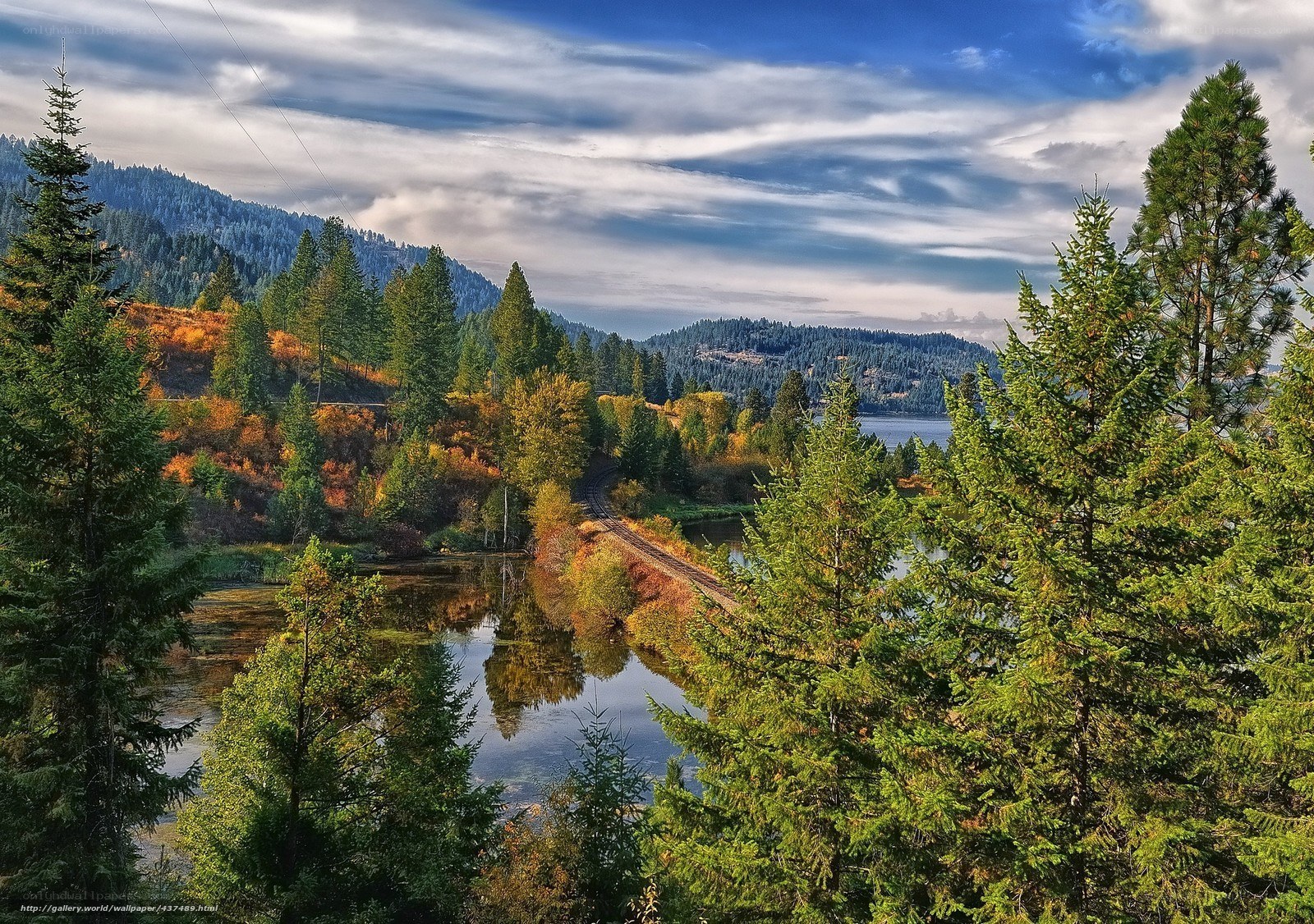 Forest lake with train tracks